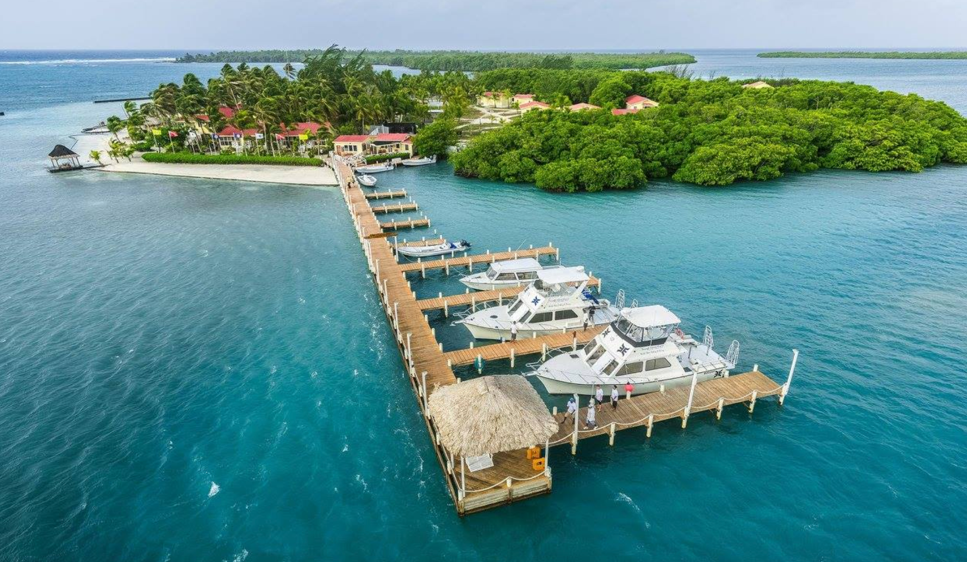 turneffe island resort belize