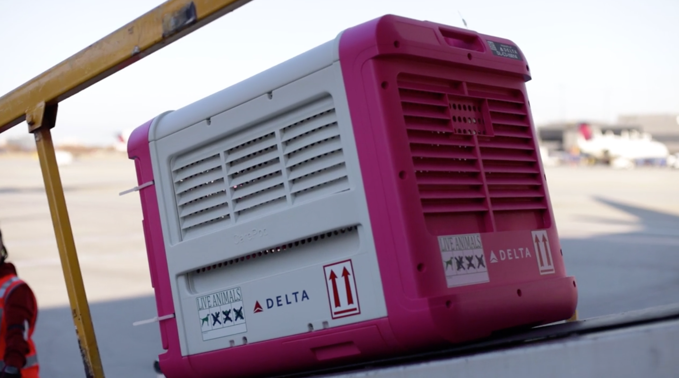 Screen Shot 2020-01-25 at 1.08.14 PM