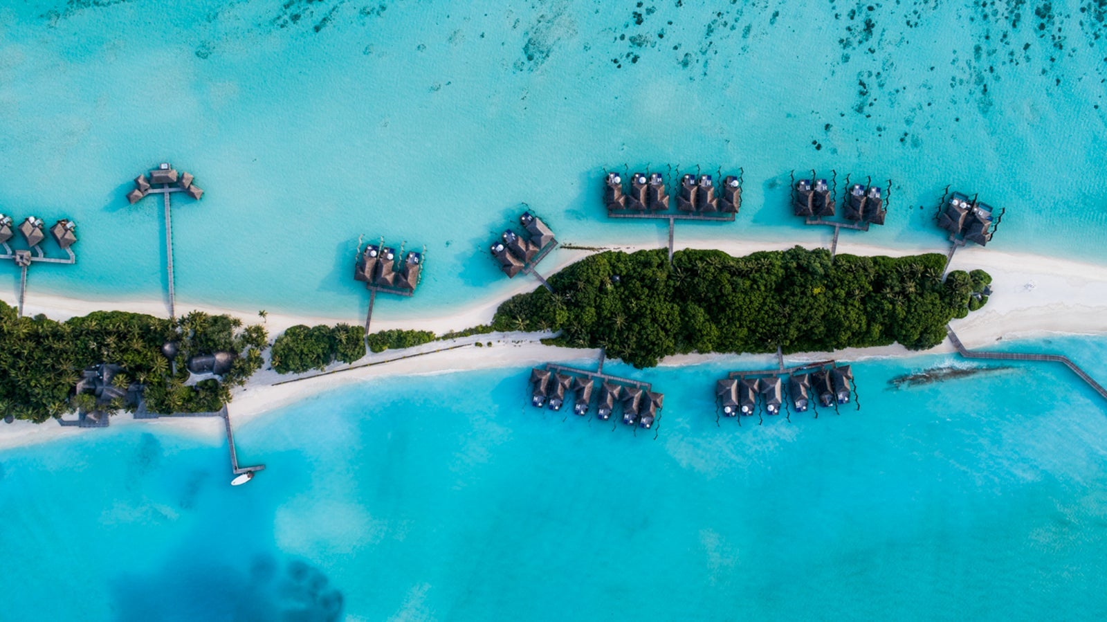 TPG Maldives_Ryan Patterson