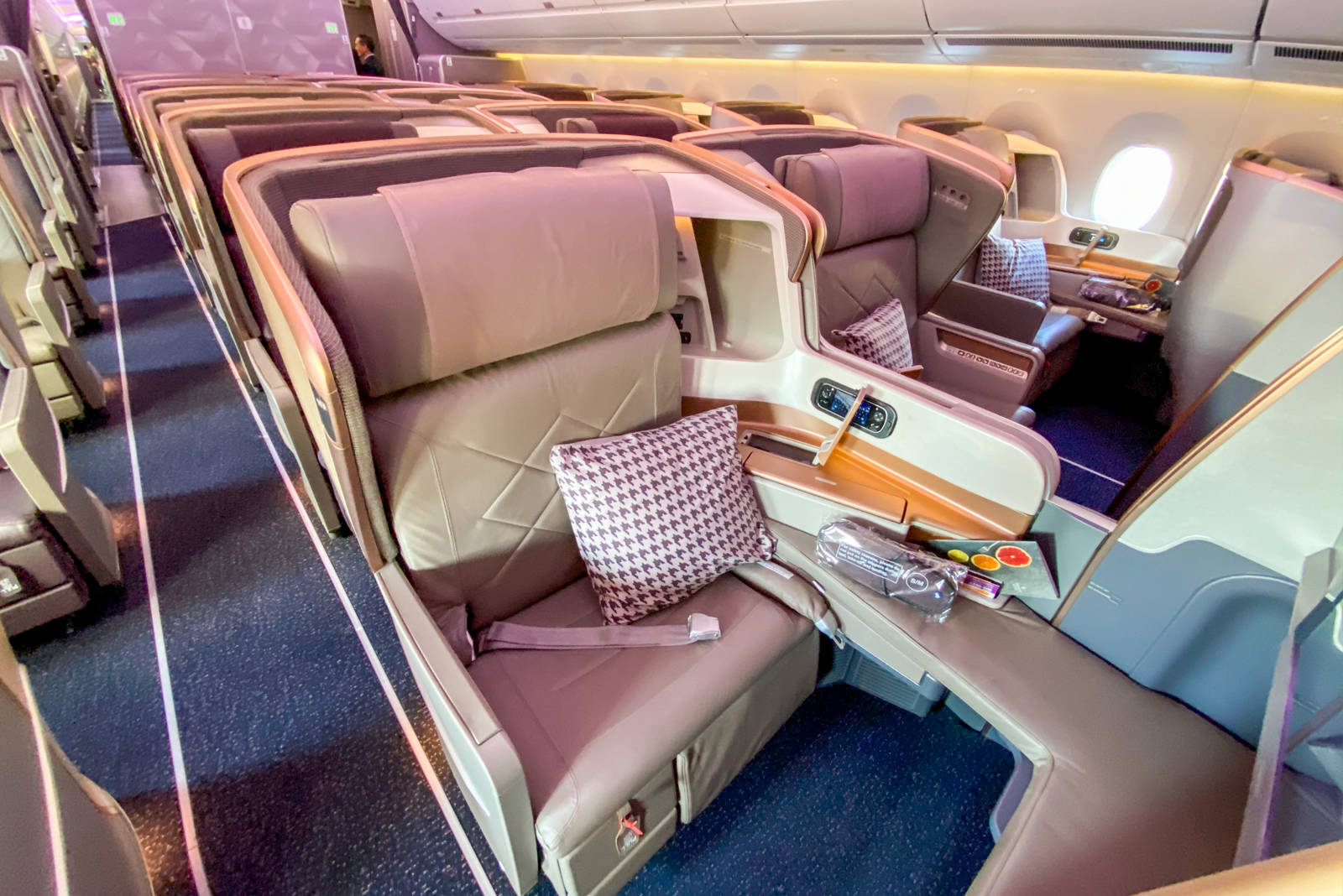 Singapore Flight 21 Airbus A350 Business EWR-SIN