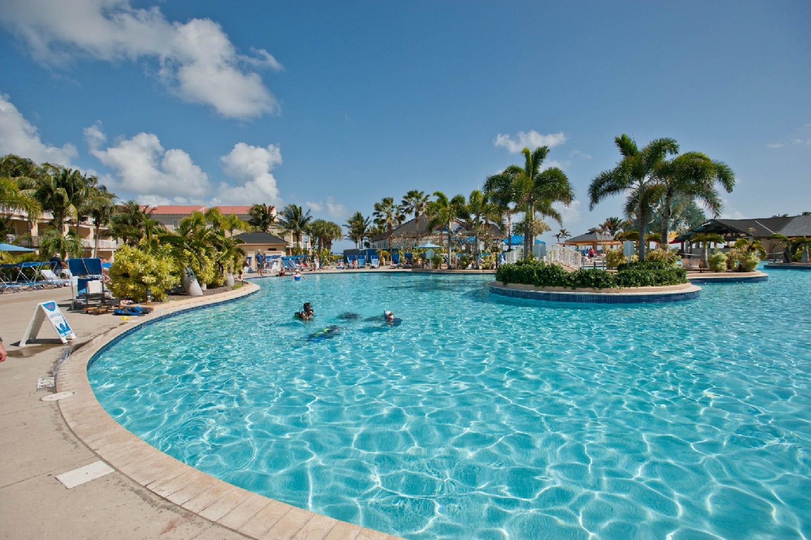 St. Kitts Marriott Resort and Casino courtesy oyster