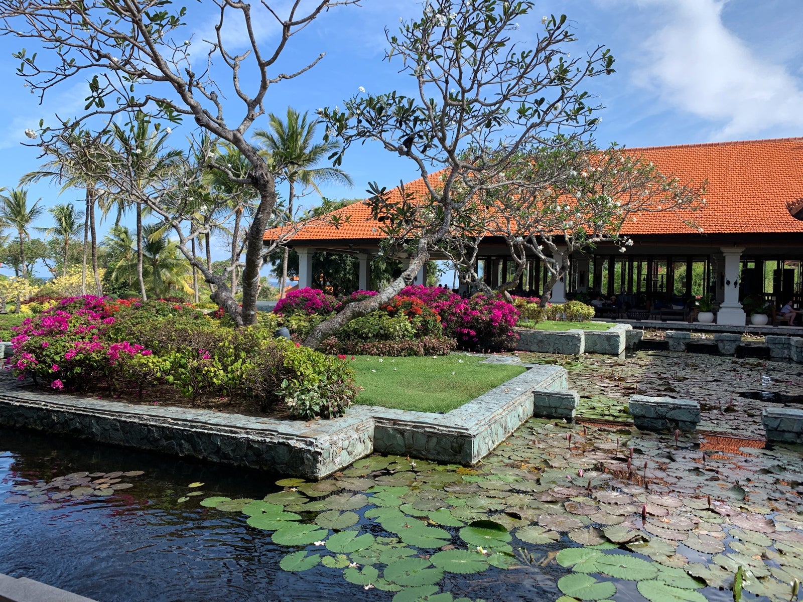 Becca Manheimer Honeymoon