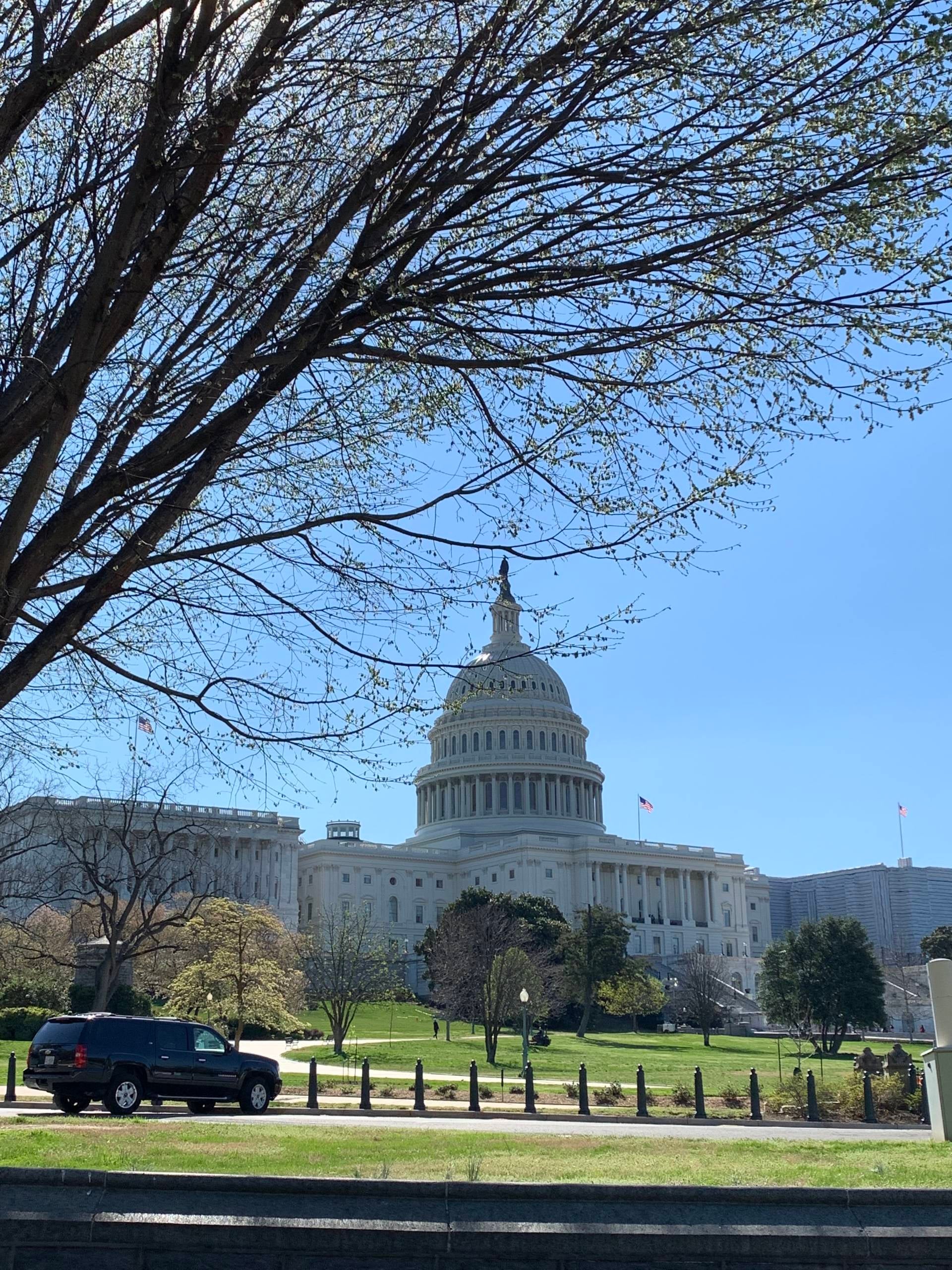 Capitol Hill April 2019