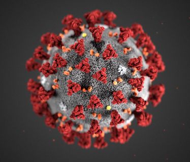 Coronavirus Illustration