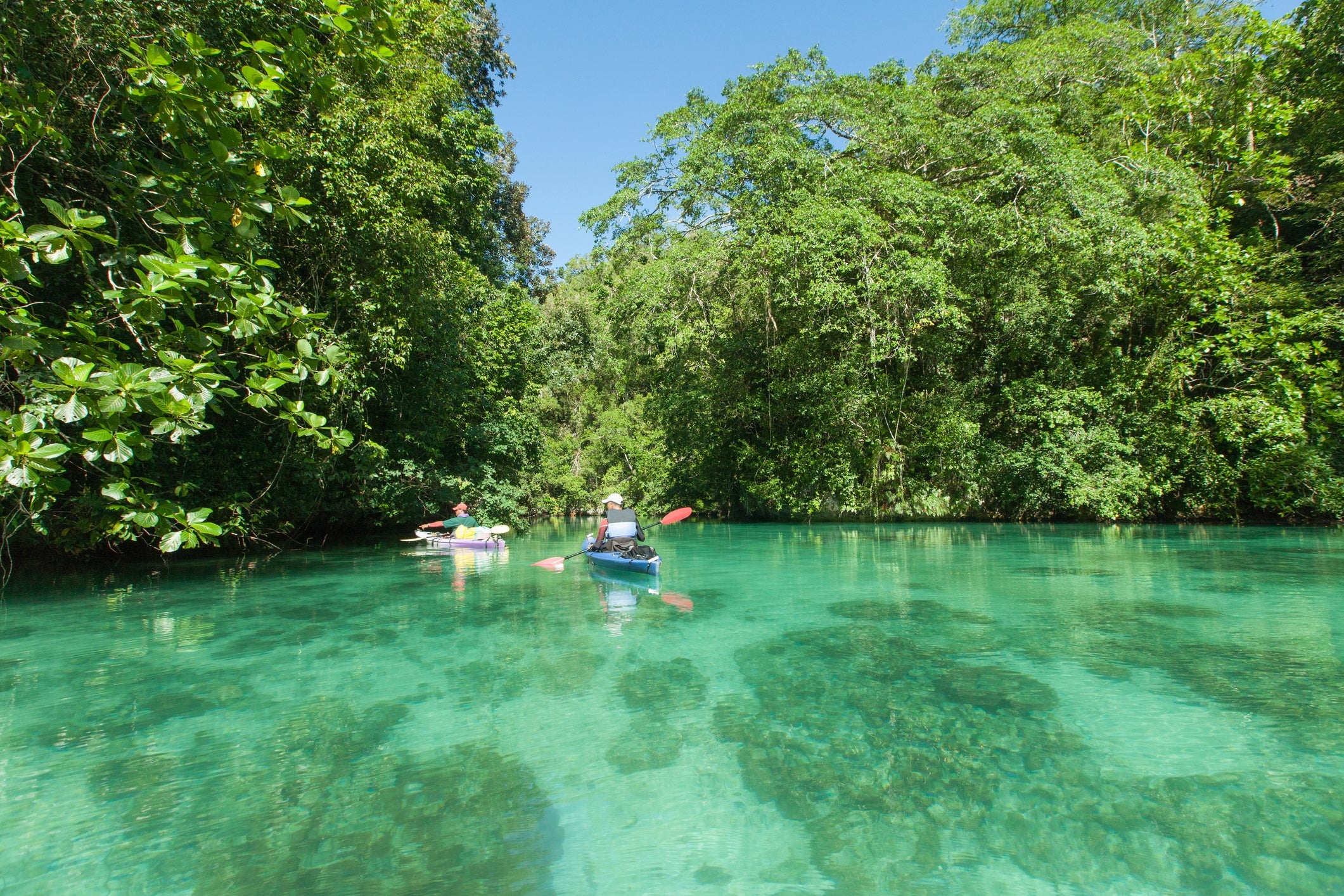 Tropical lagoon kayaking, Palau, Micronesia