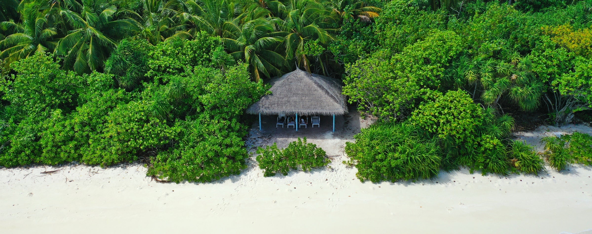 Top view beach hut on white sand, surrounded by tropical palm trees