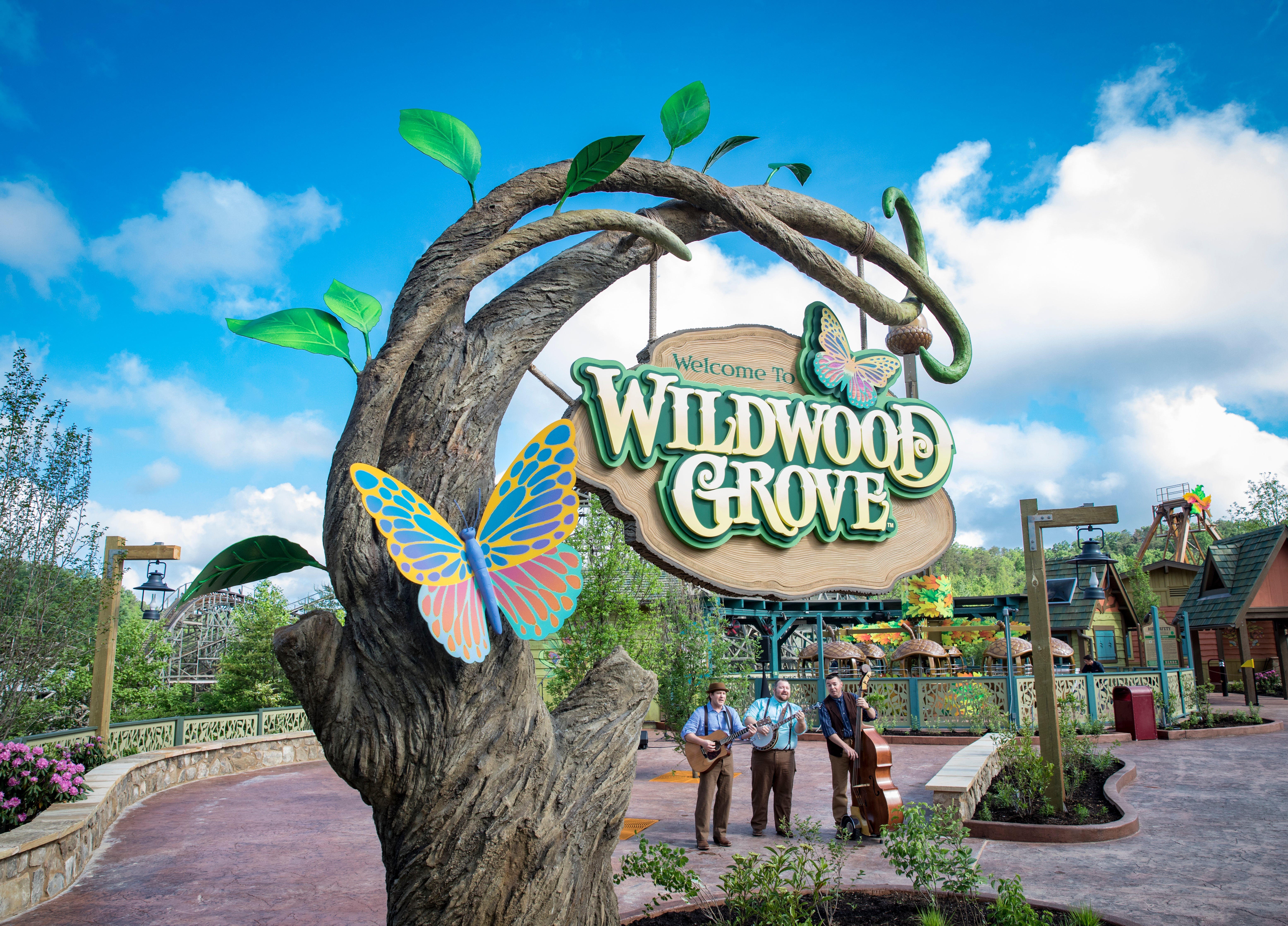 Anchor - Deep Roots Band