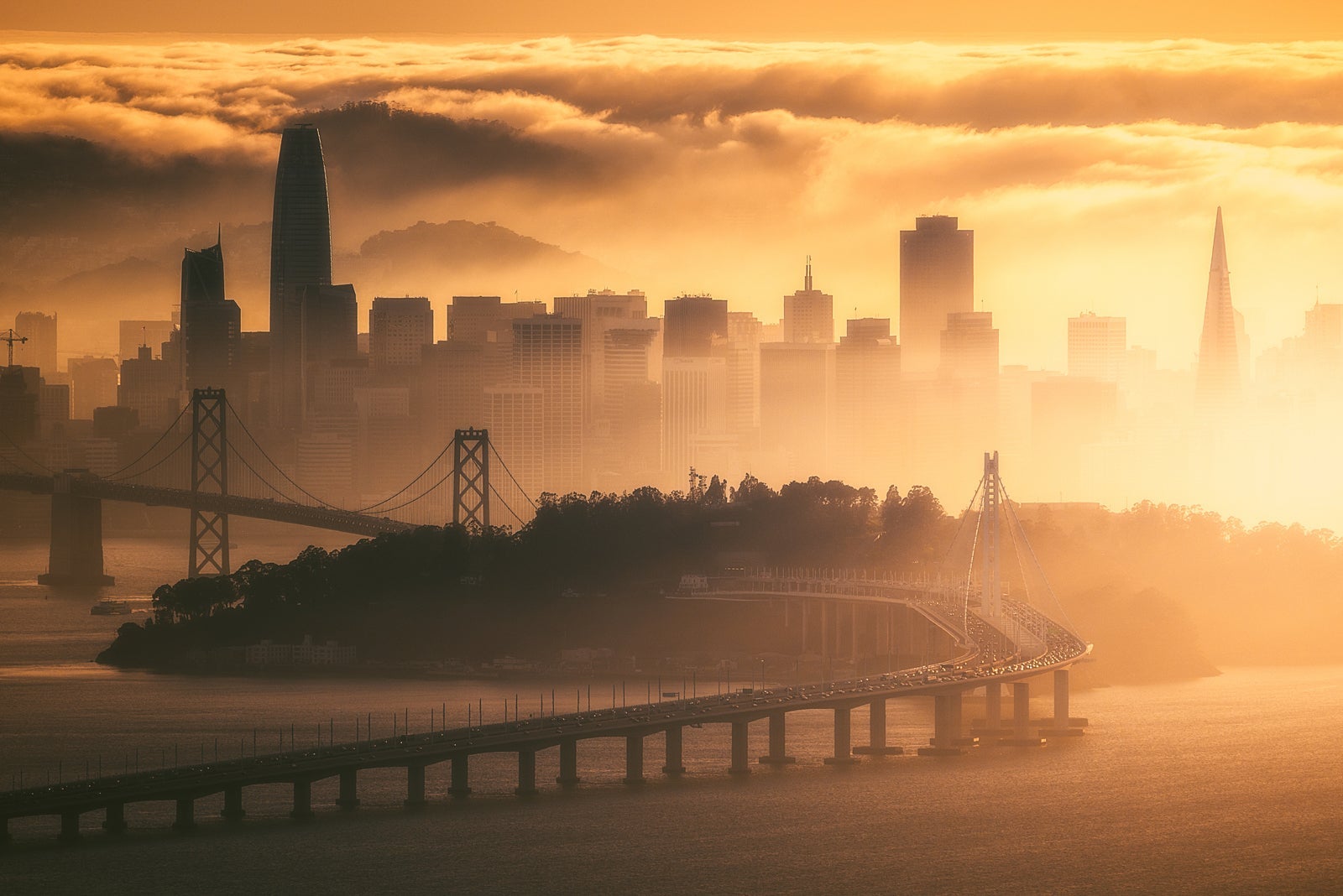 Bay Area Golden Hour Closeup with layers of fog