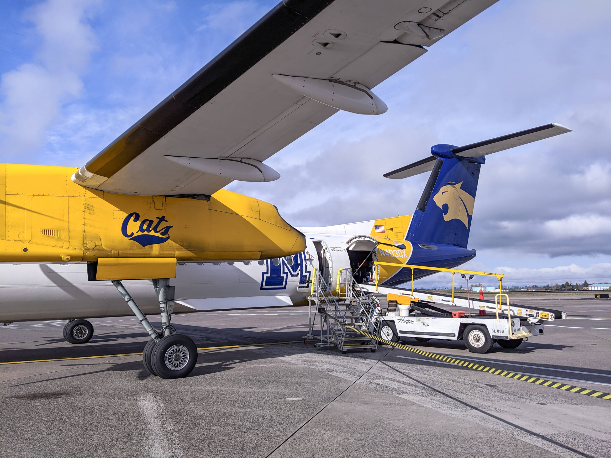 3-7-2020 AS 2941 by Katherine Fan -0005