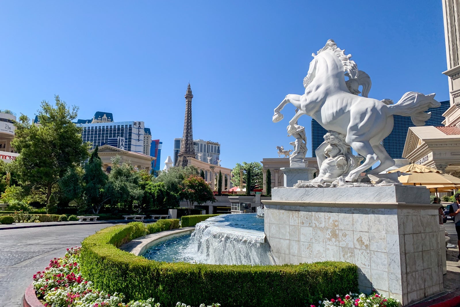 Las Vegas Pandemic 2020