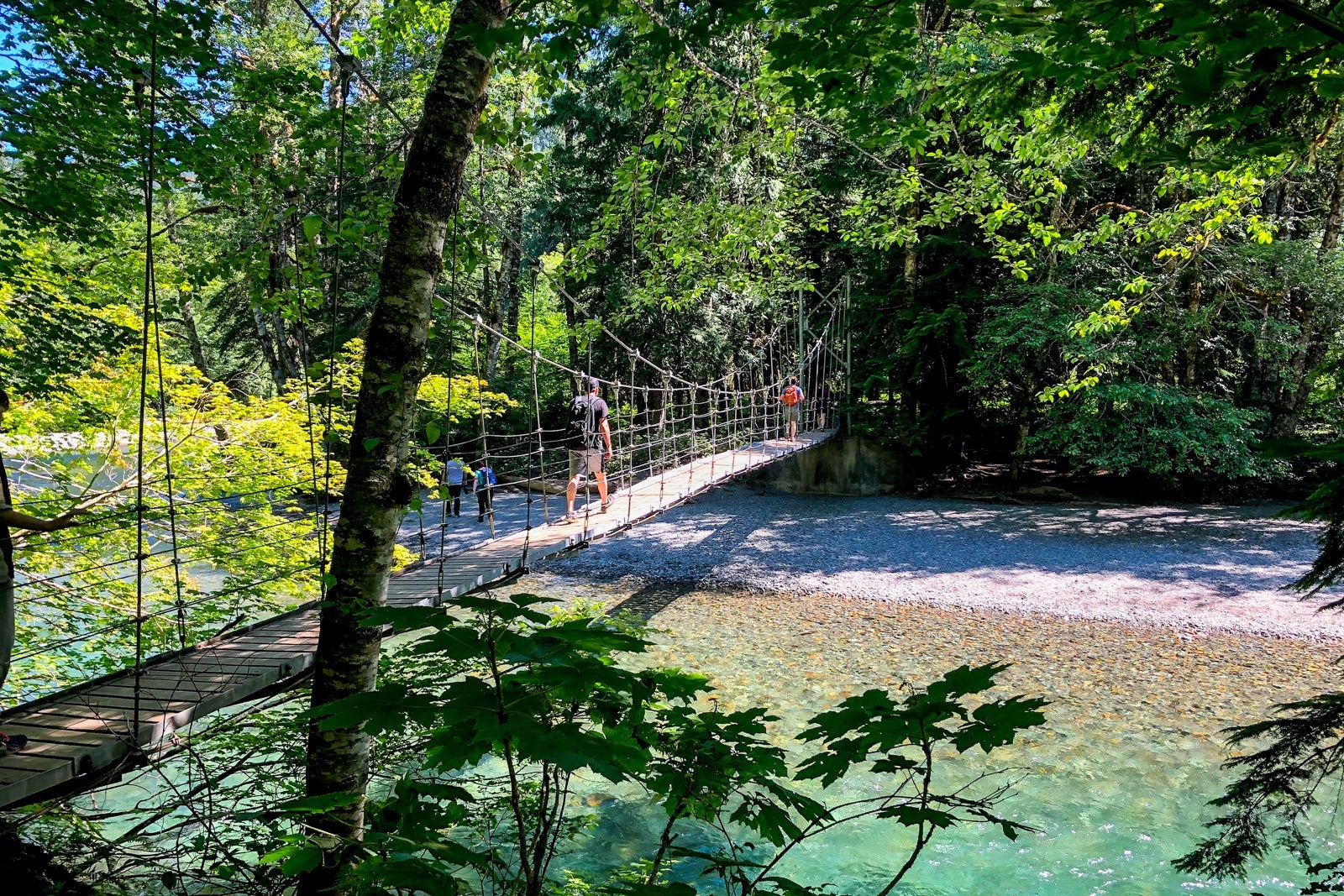 Visiting Mount Ranier