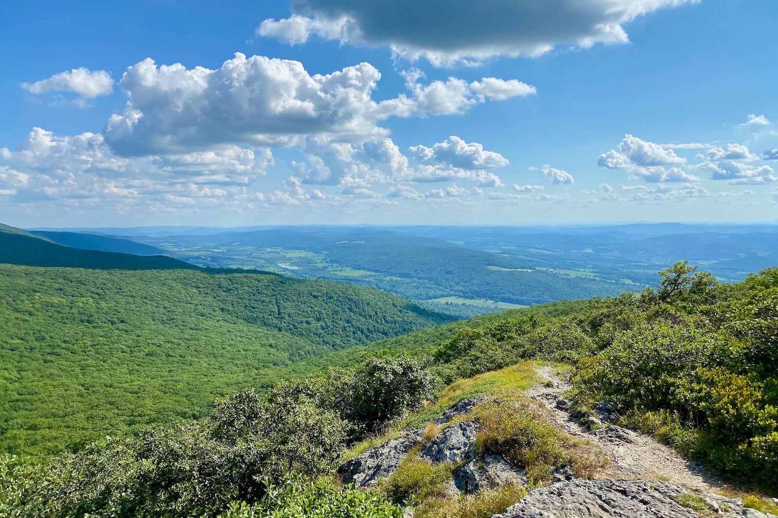 Miraval Berkshires Hyatt Zach Griff - 1