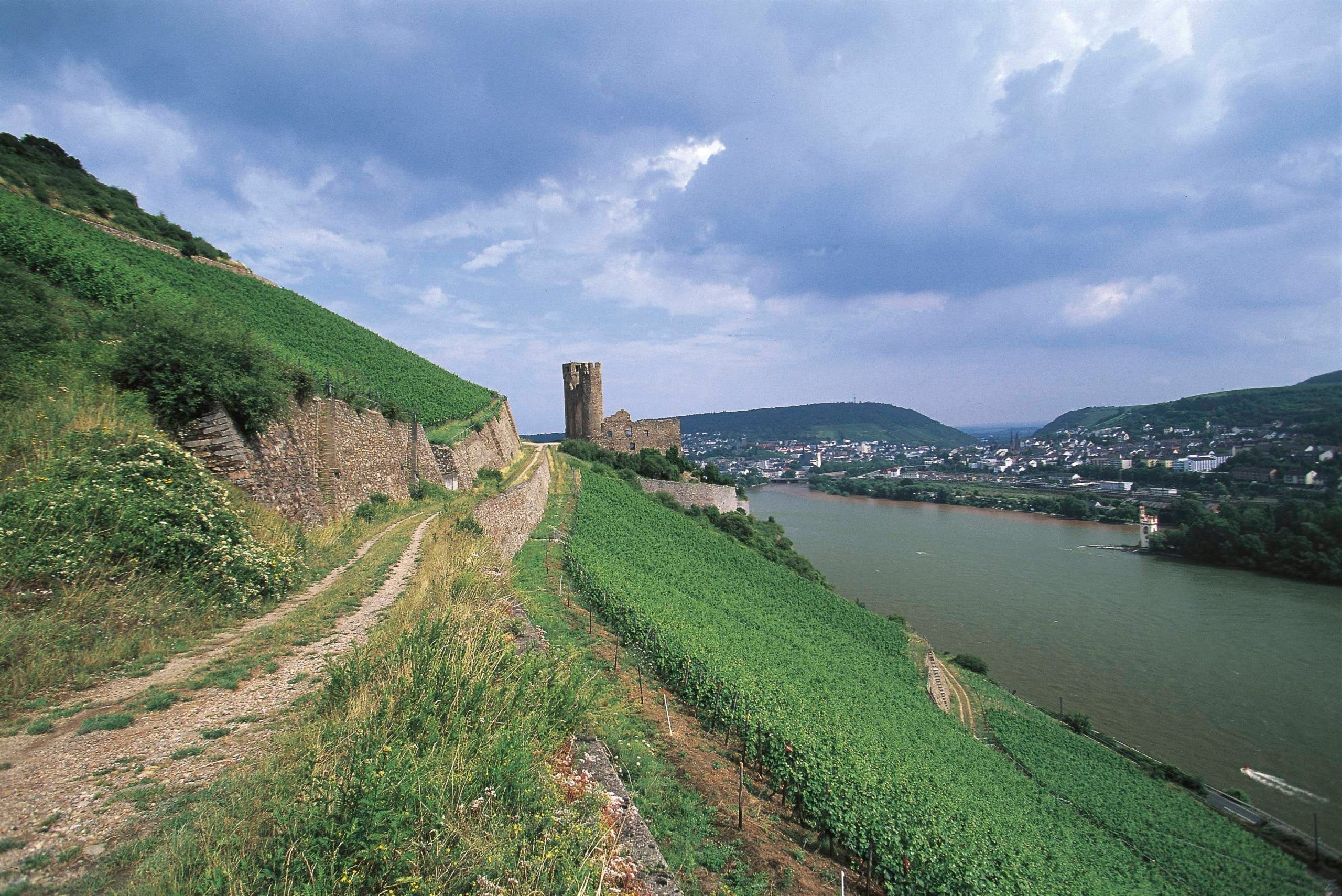 Ehrenfels Castle, 1212, Rudesheim am Rhein