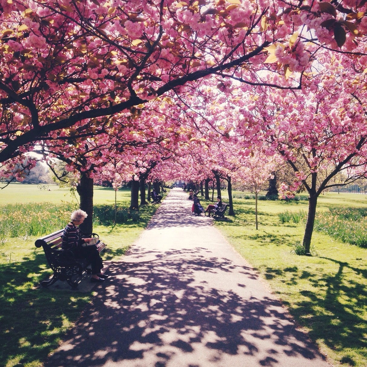 greenwich-park-london_t20_2g2XkE