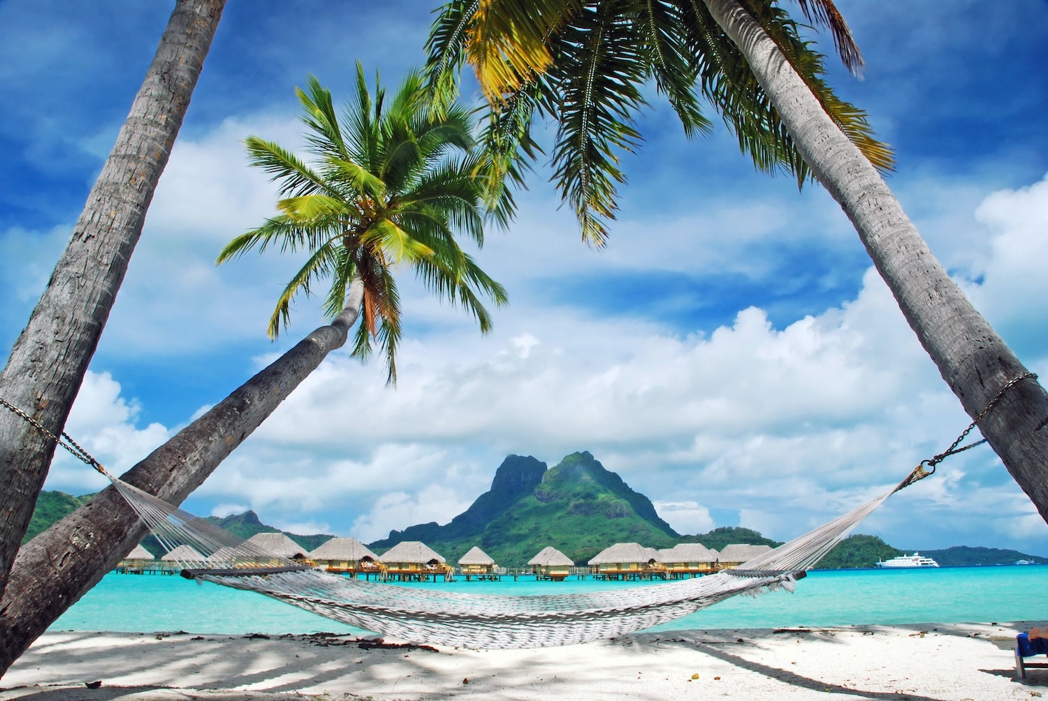 Hammock in Bora Bora Between Two Palm Trees