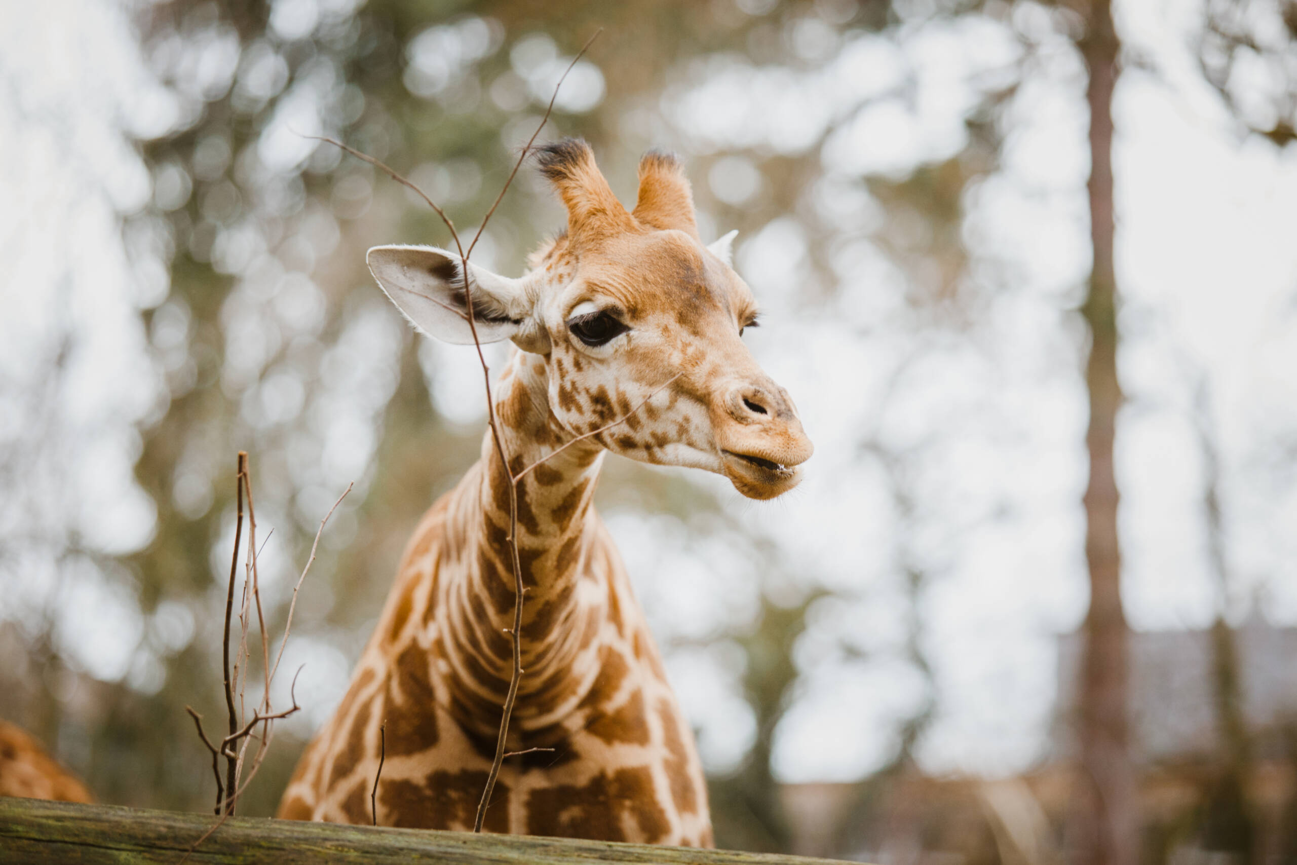 shutterstock_792134647