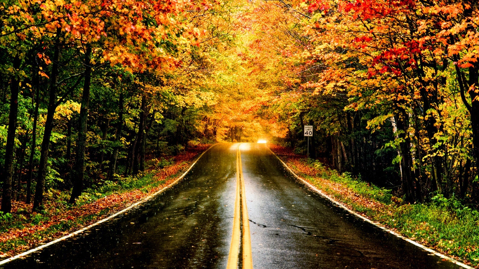 Fall Foliage in Vermont