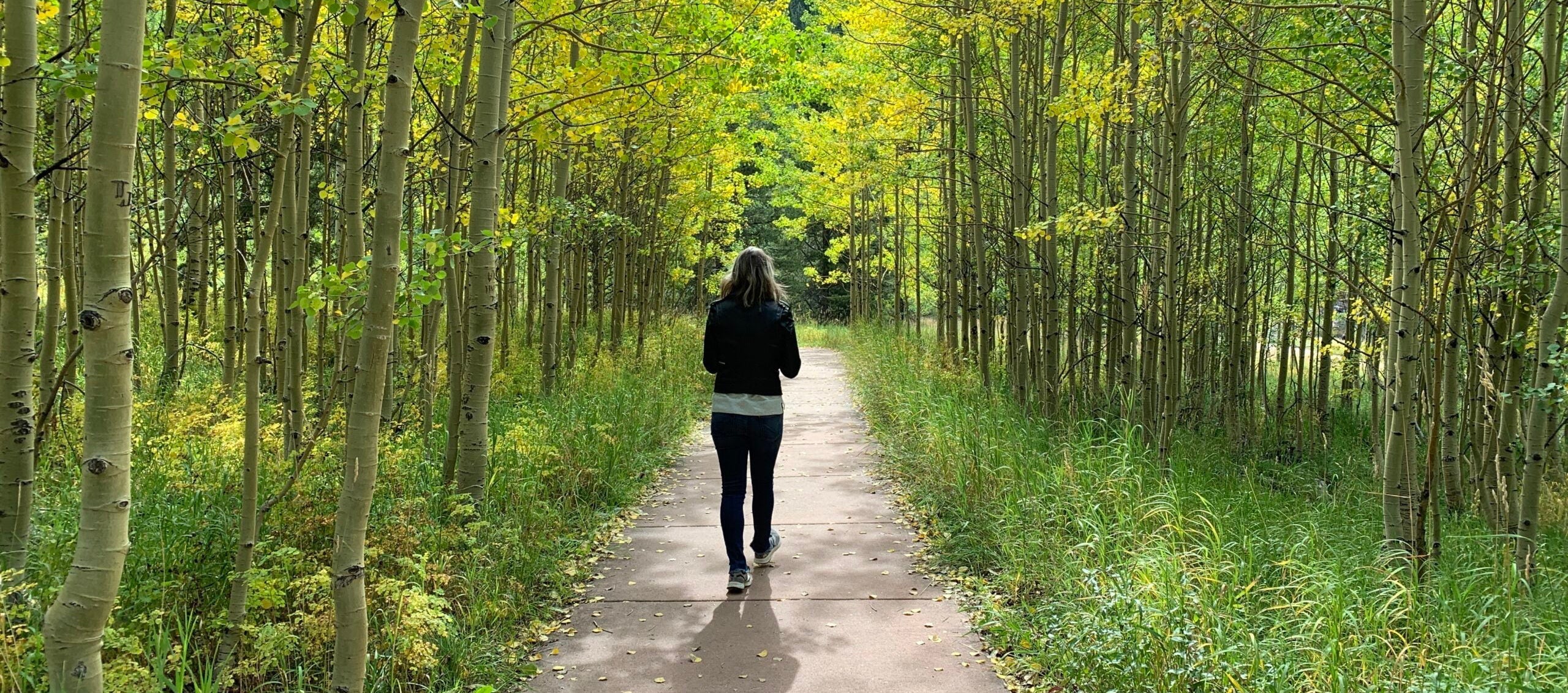 walking-in-forest-featured