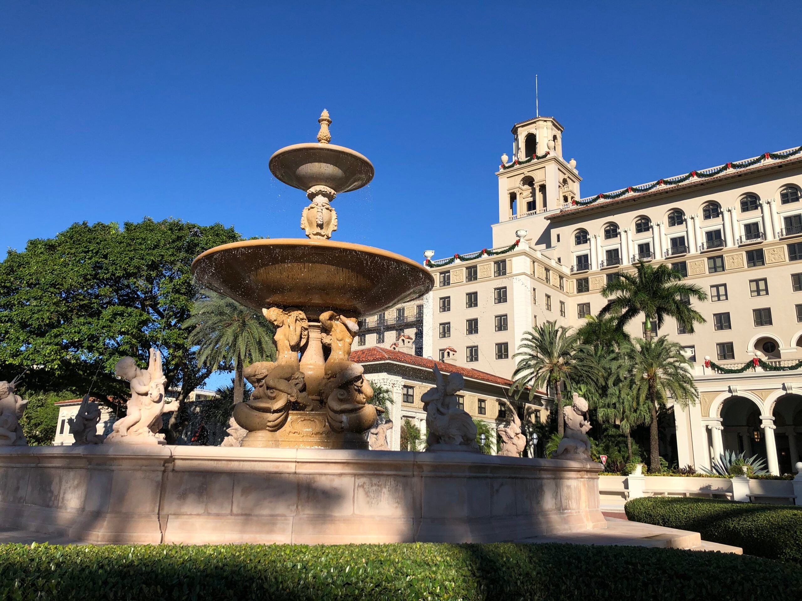 50698007123_4878f14045_o