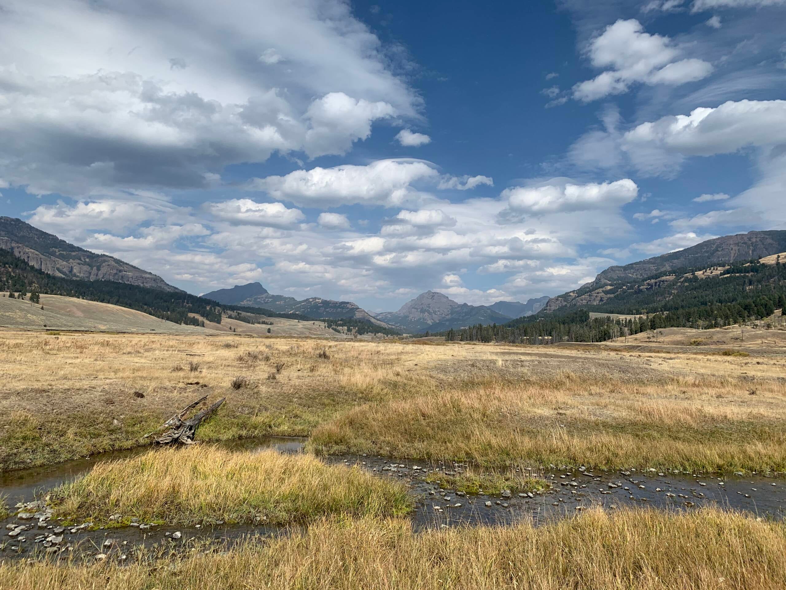 Yellowstone-September-2020-scaled