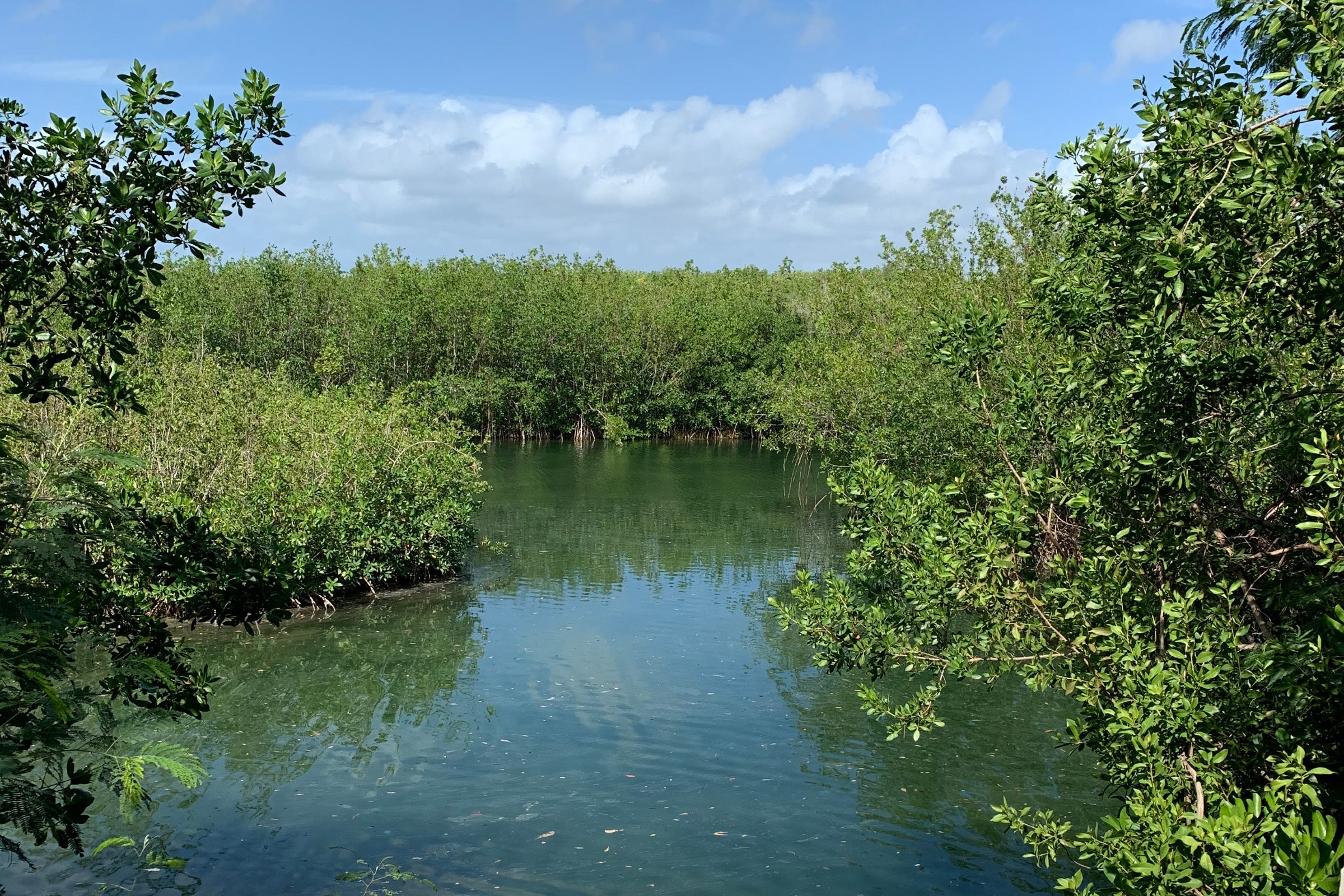 mexico-covid-quarantine-1