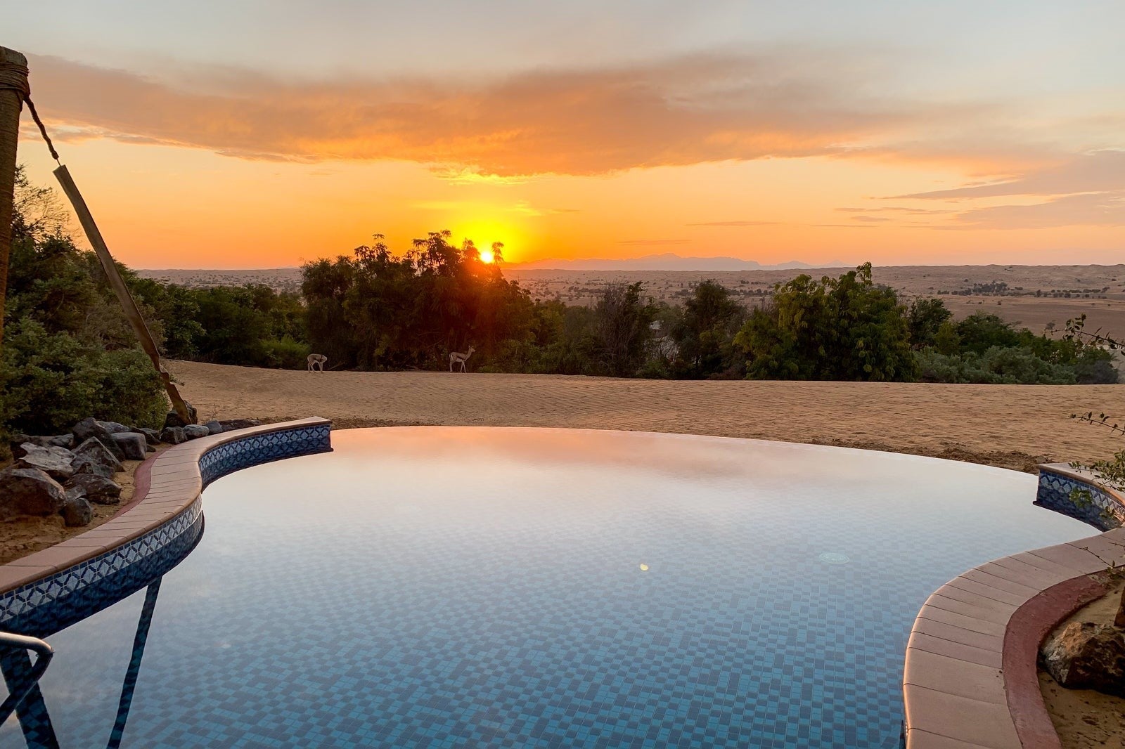 Al-Maha-Dubai_Feb-2019_ESteinberg-40-3-2