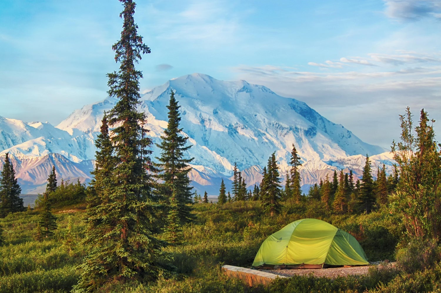 Camping in Denali National Park, Alaska, USA
