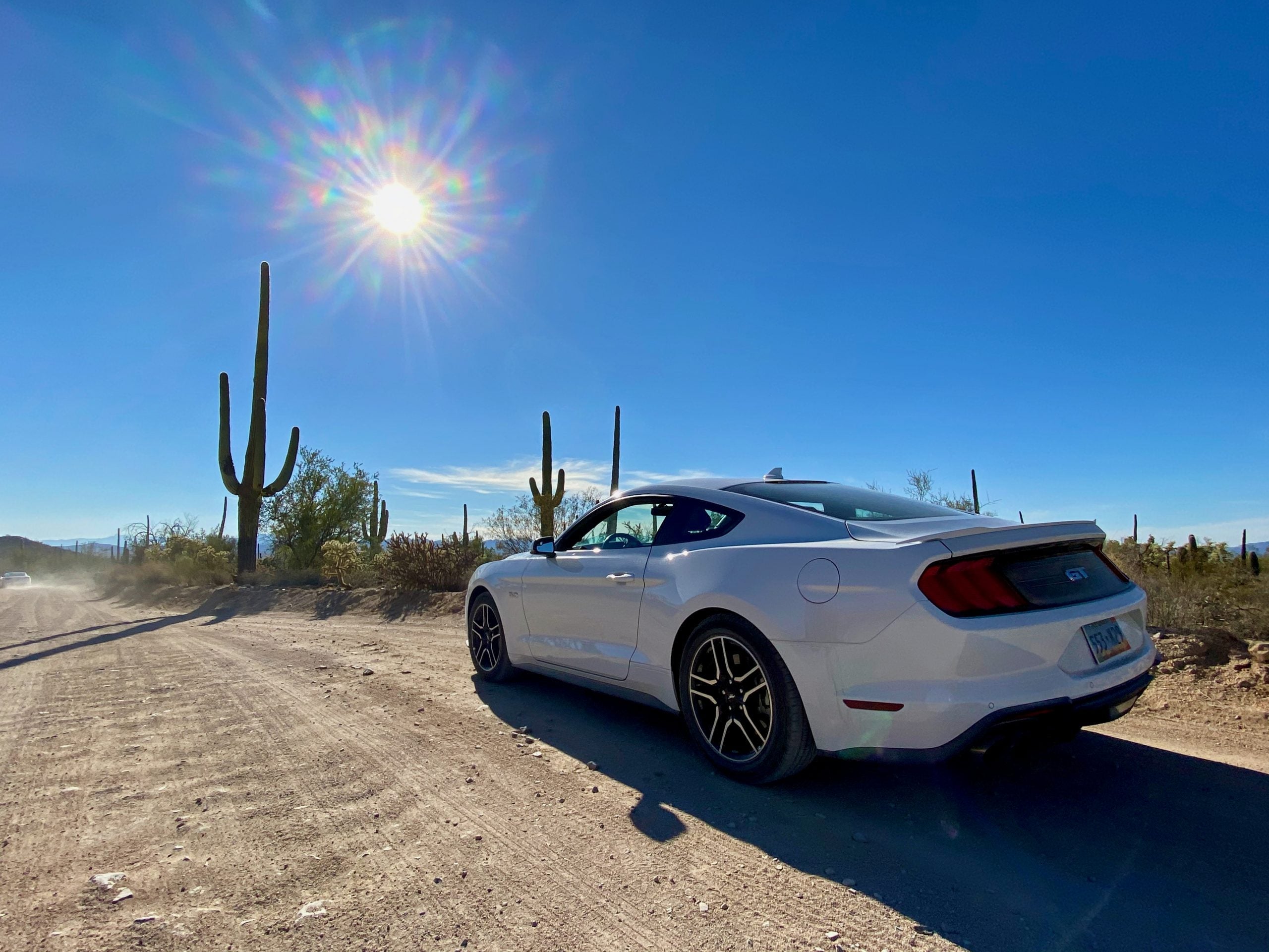 Saguaro National Park Cdong - 16 of 16