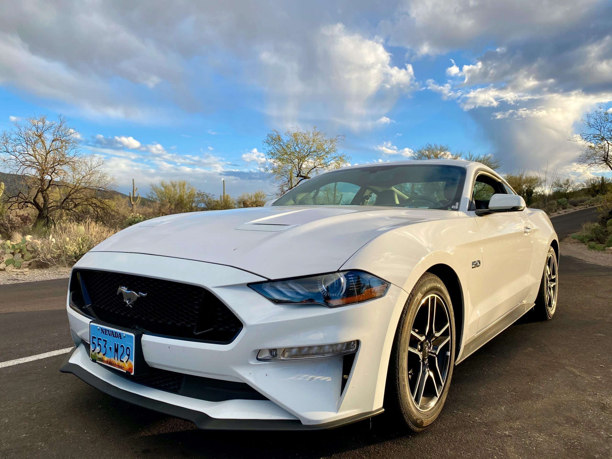 Saguaro National Park Cdong - 3 of 16