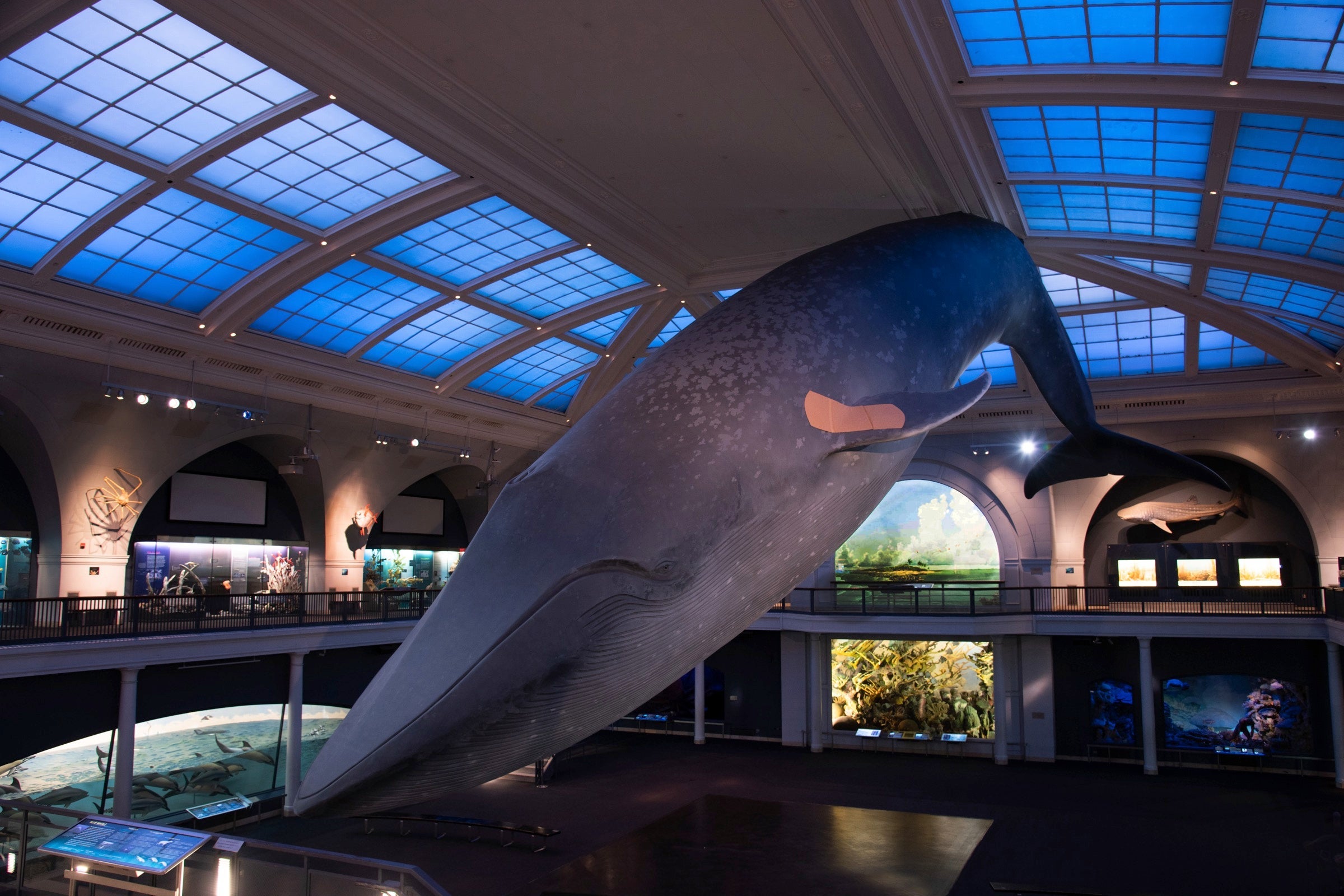 EzWMYnuUYAIu_CY copy