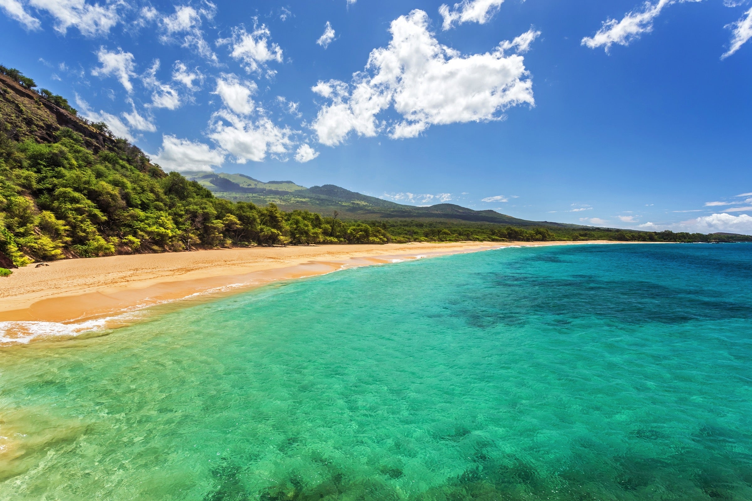 A beach in Maui, Hawaii