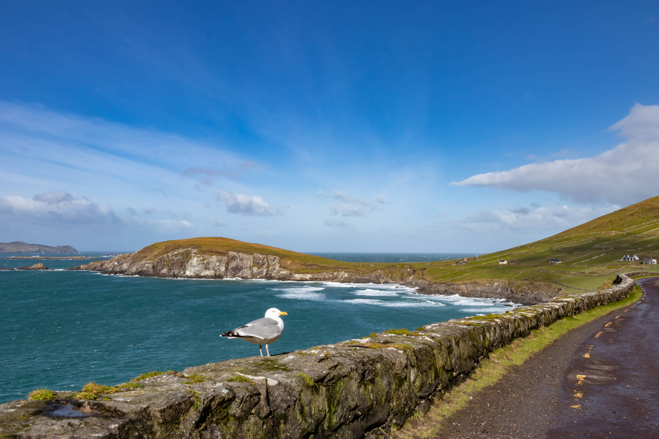 GettyImages-1158698718-scaled