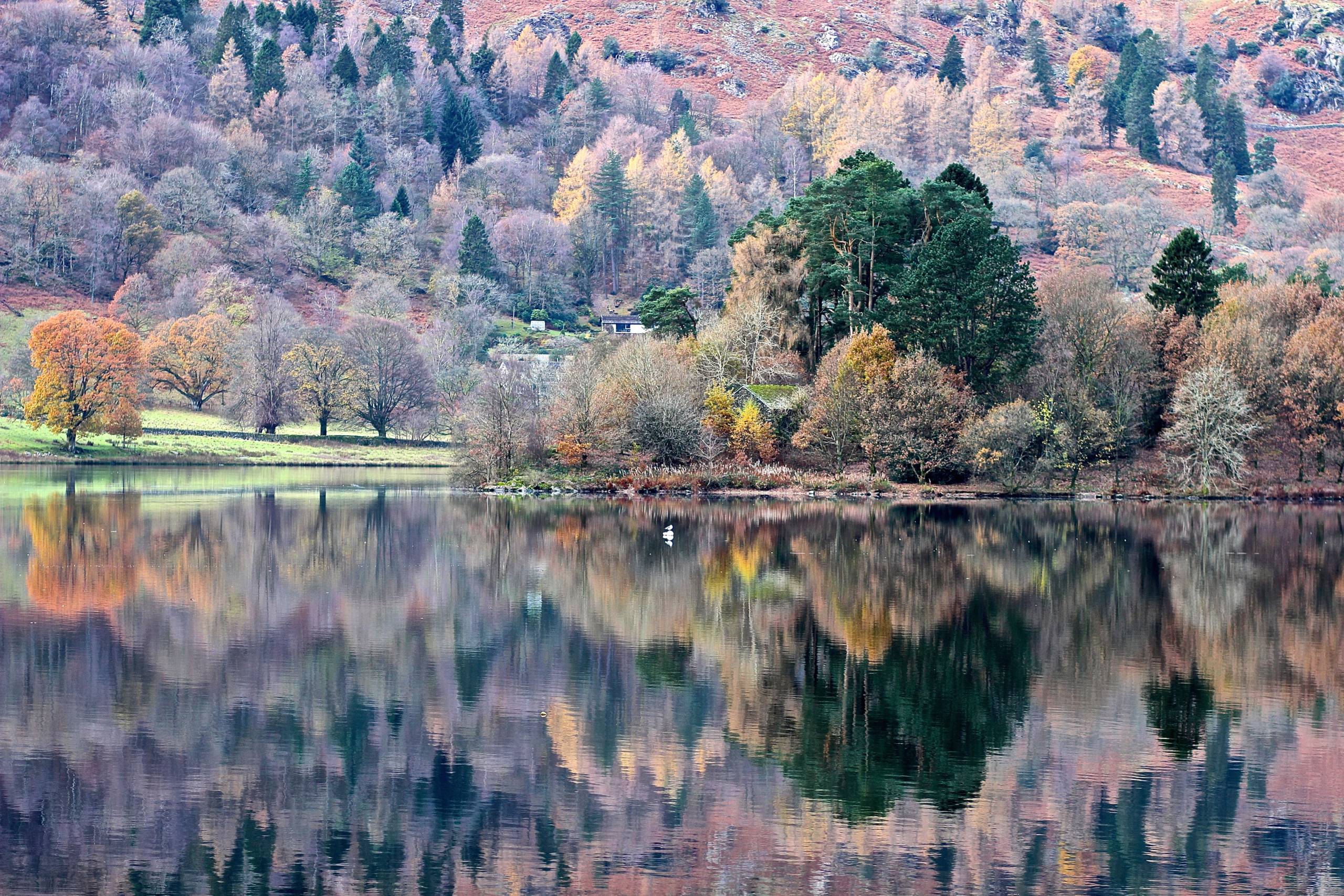 GettyImages-585094424-scaled