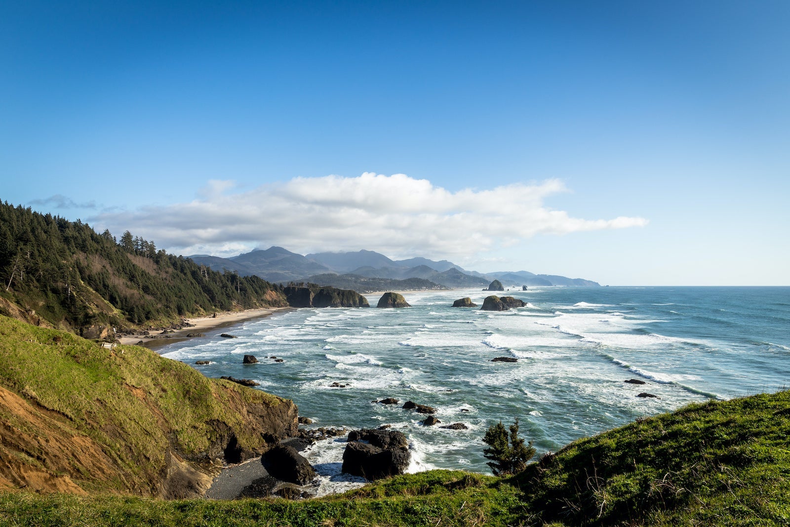 Cannon Beach from Ecola