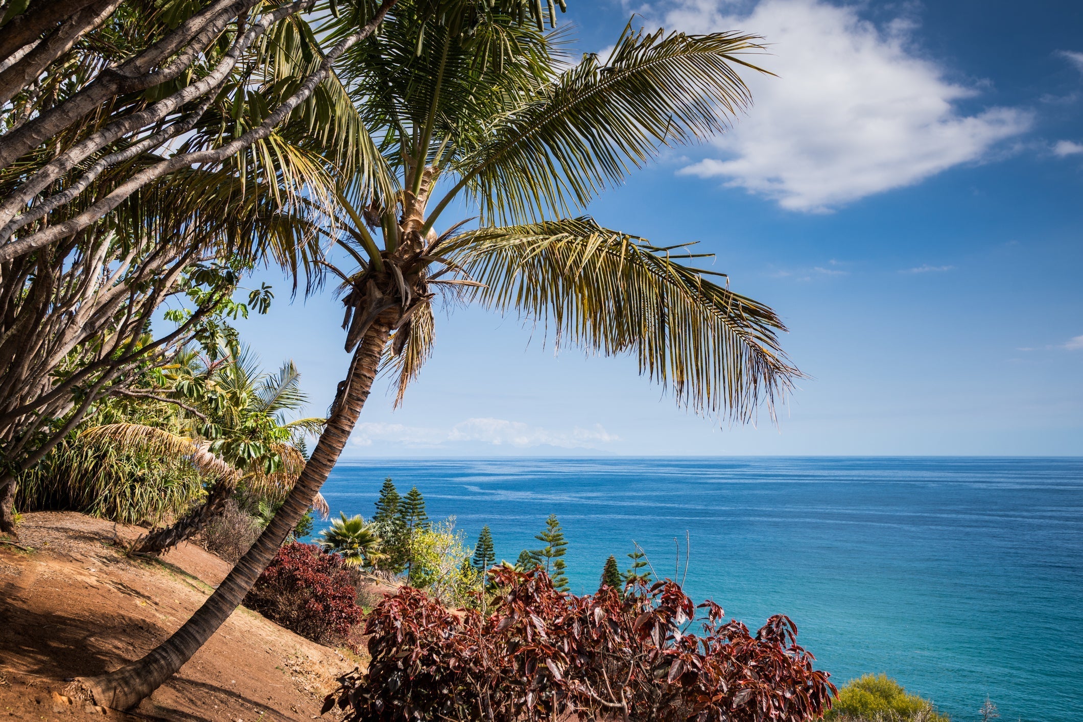 GettyImages-1143900571