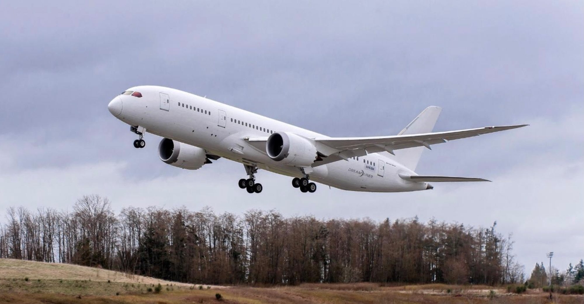 RWLV Boeing 787-8 Photo 2