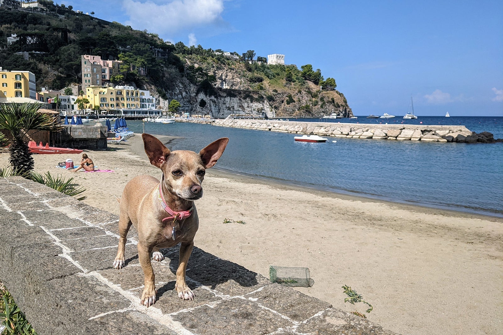 becca-blond-dog-beach-italy