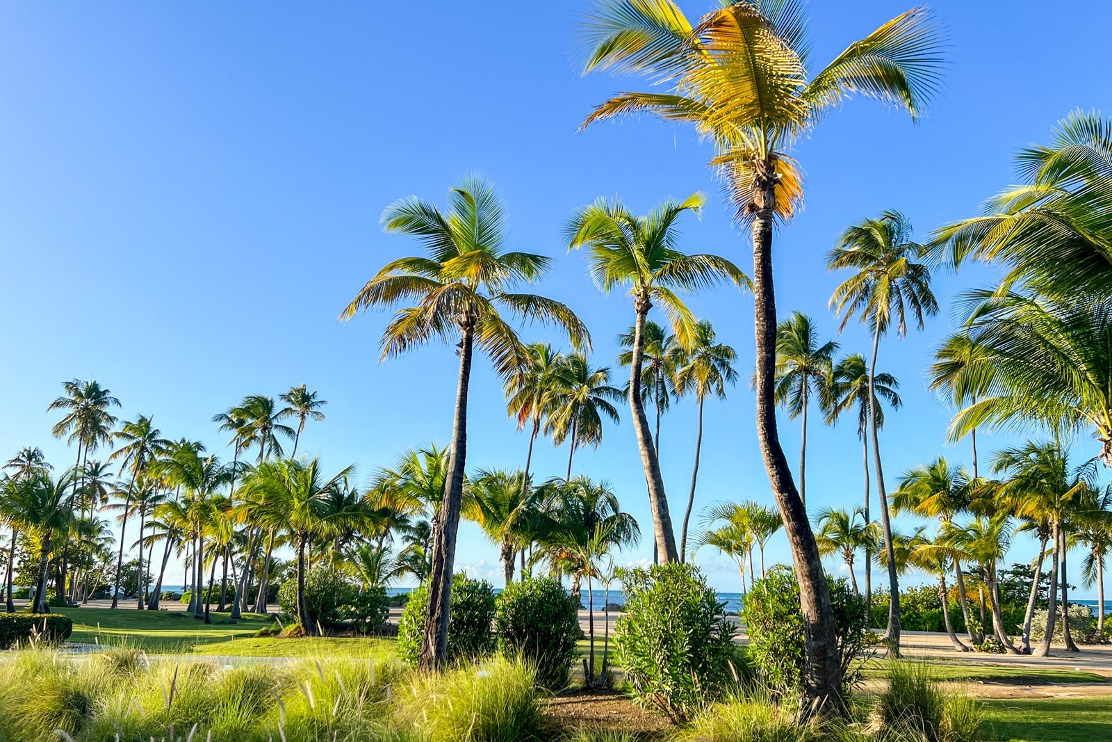 Hyatt Suite Confirmation