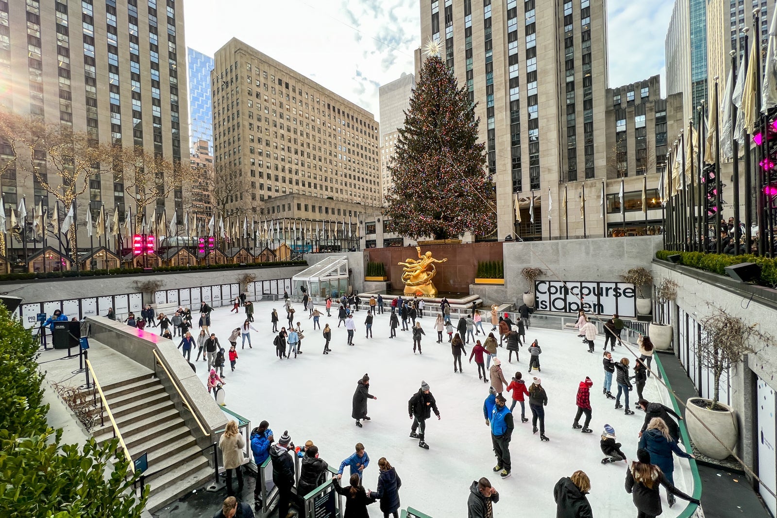 Fred Dixon Tourists NYC