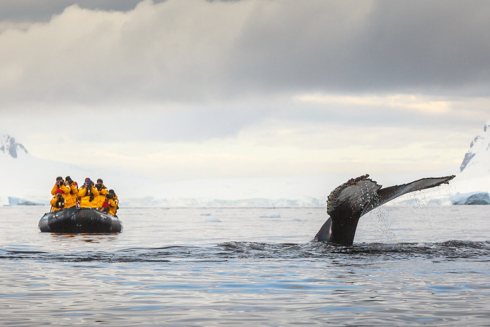 Antartica_David Merron Photography