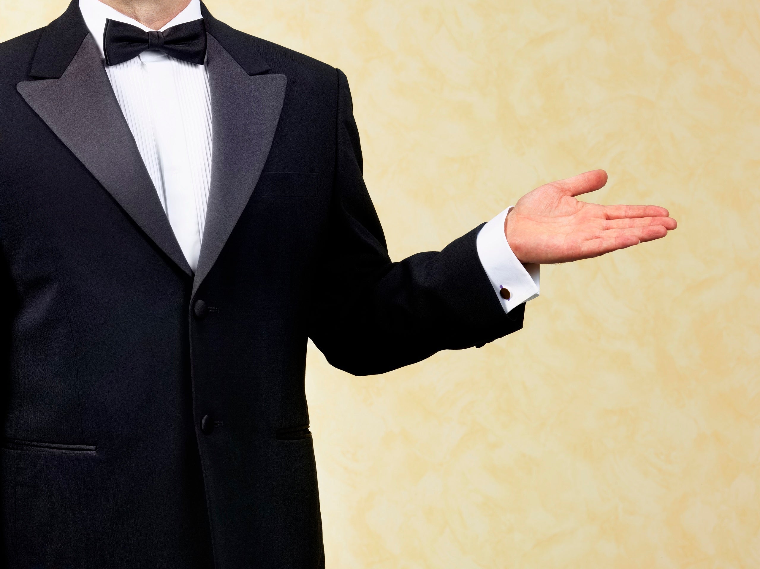 Body guard, bouncer, doorman, waiter, welcoming