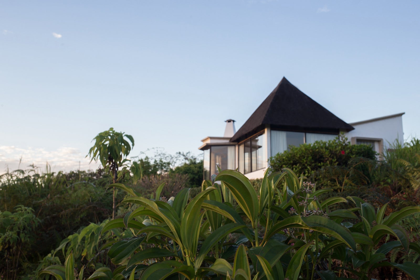 Curio-Royal-Palm-Galapagos-Villa