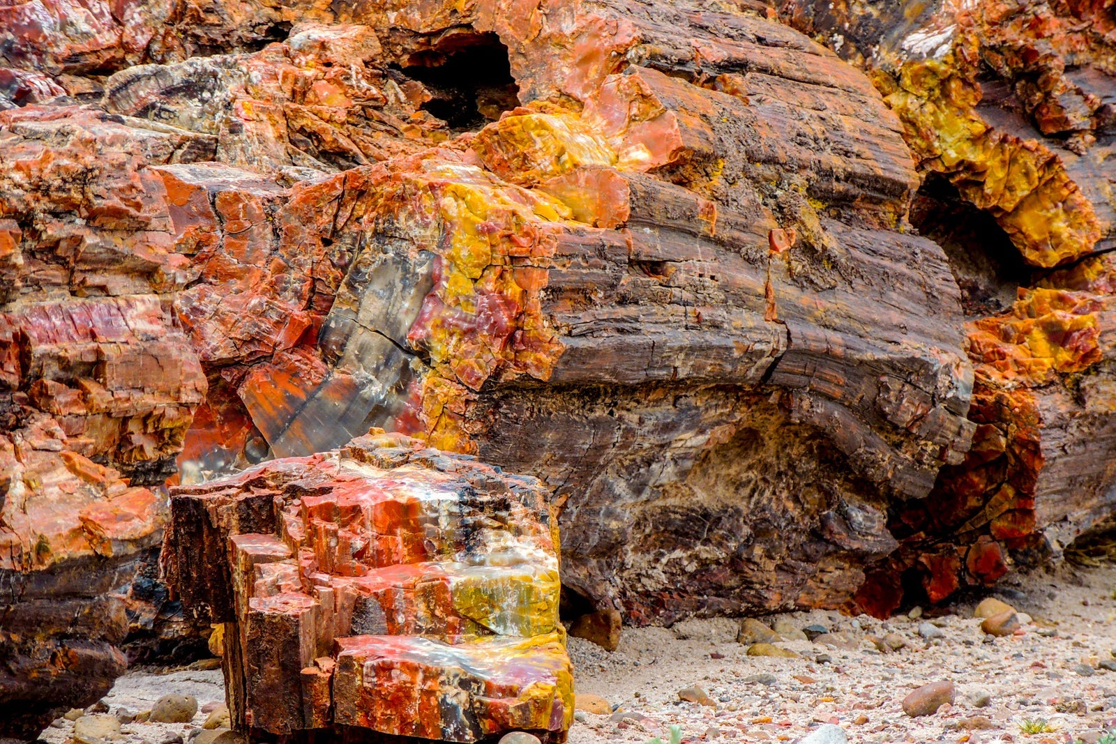 Petrified Forest National Park
