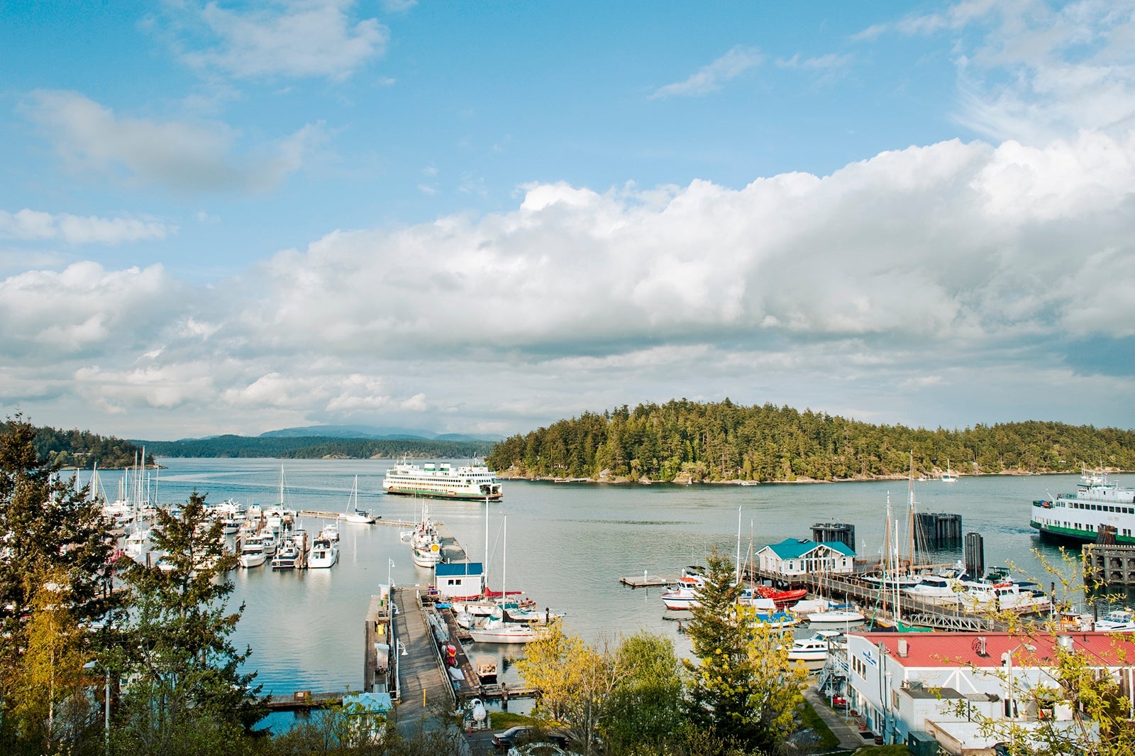Overview of Friday Harbor, San Juan Island, WA.