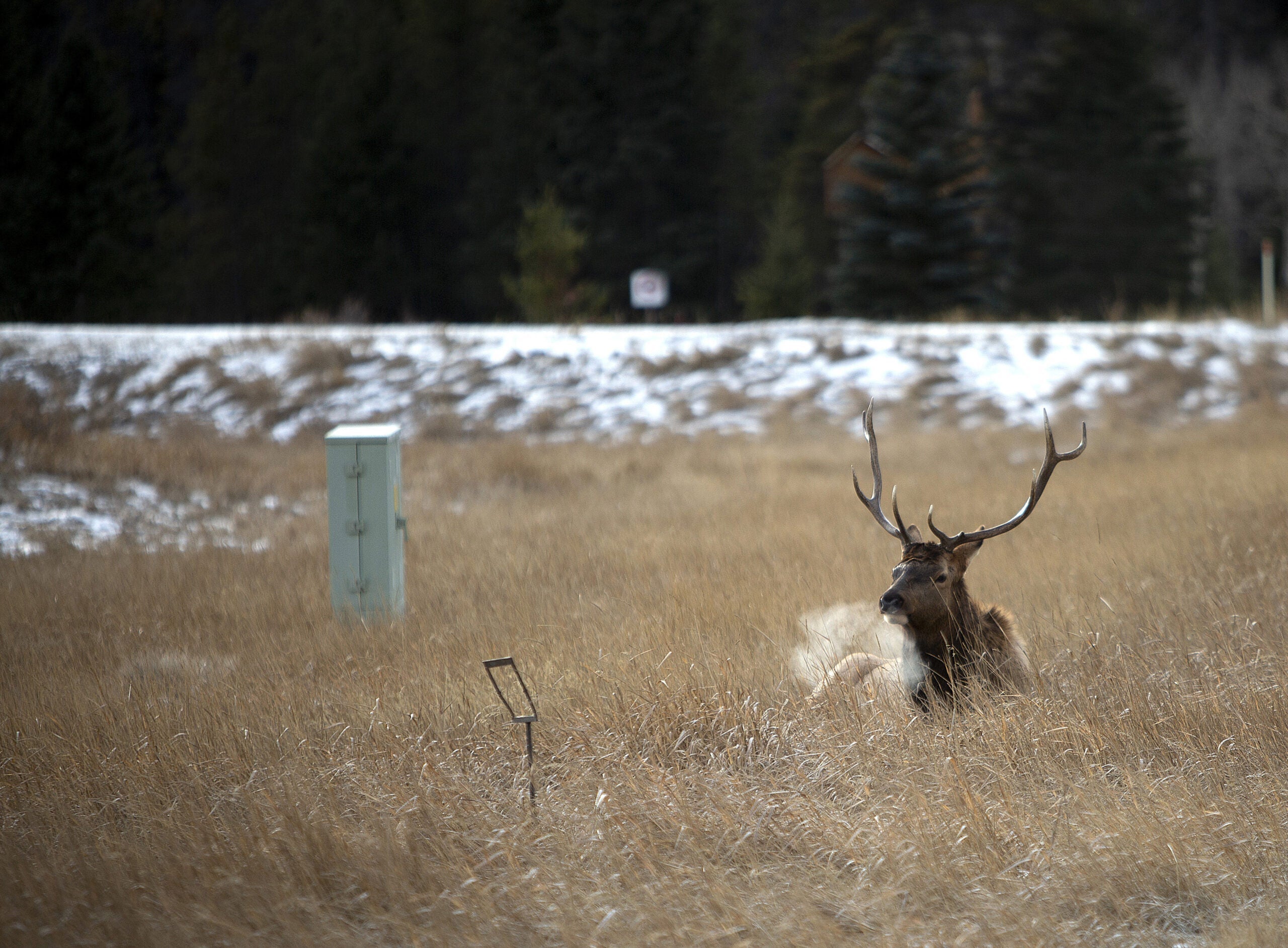 Jasper National Park in Alberta
