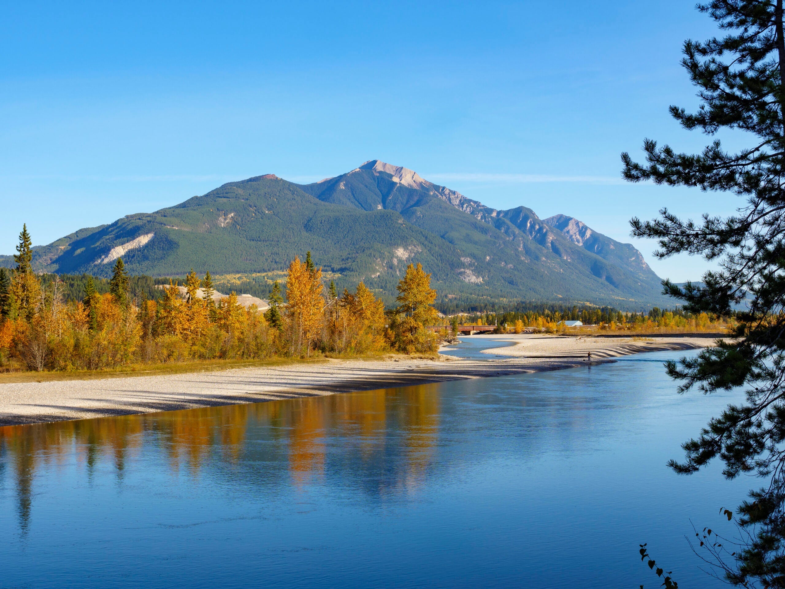 The Columbia River and fall, autumn, colors. Golden. British Columbia. Canada.