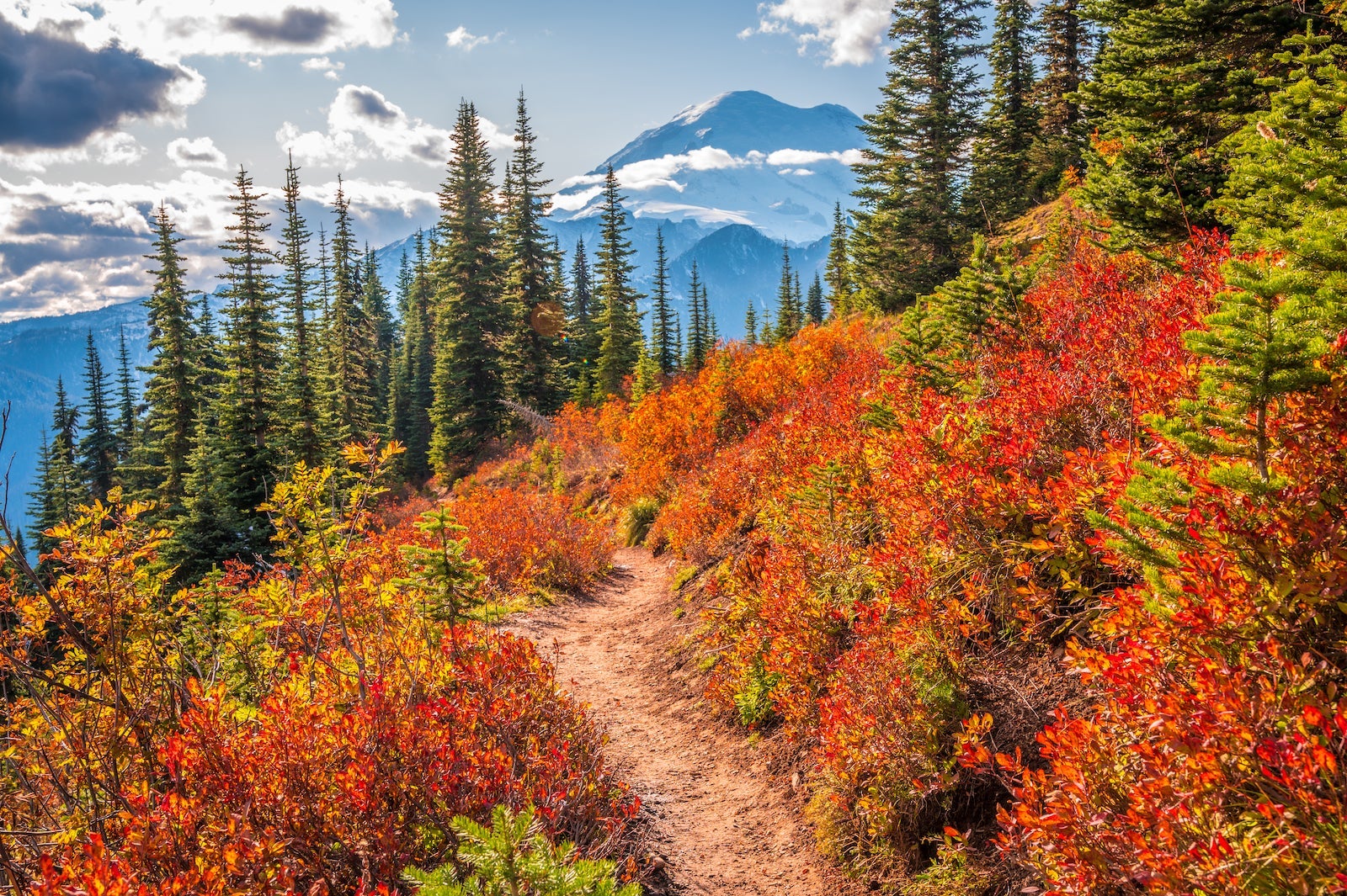 Mt Rainier Fall Foliage