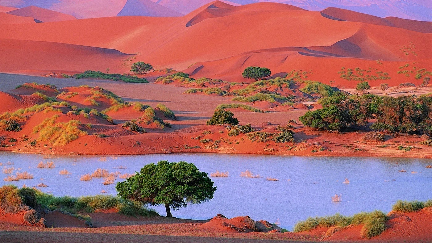 Namib Desert, Sossusvlei, Namibia, Africa