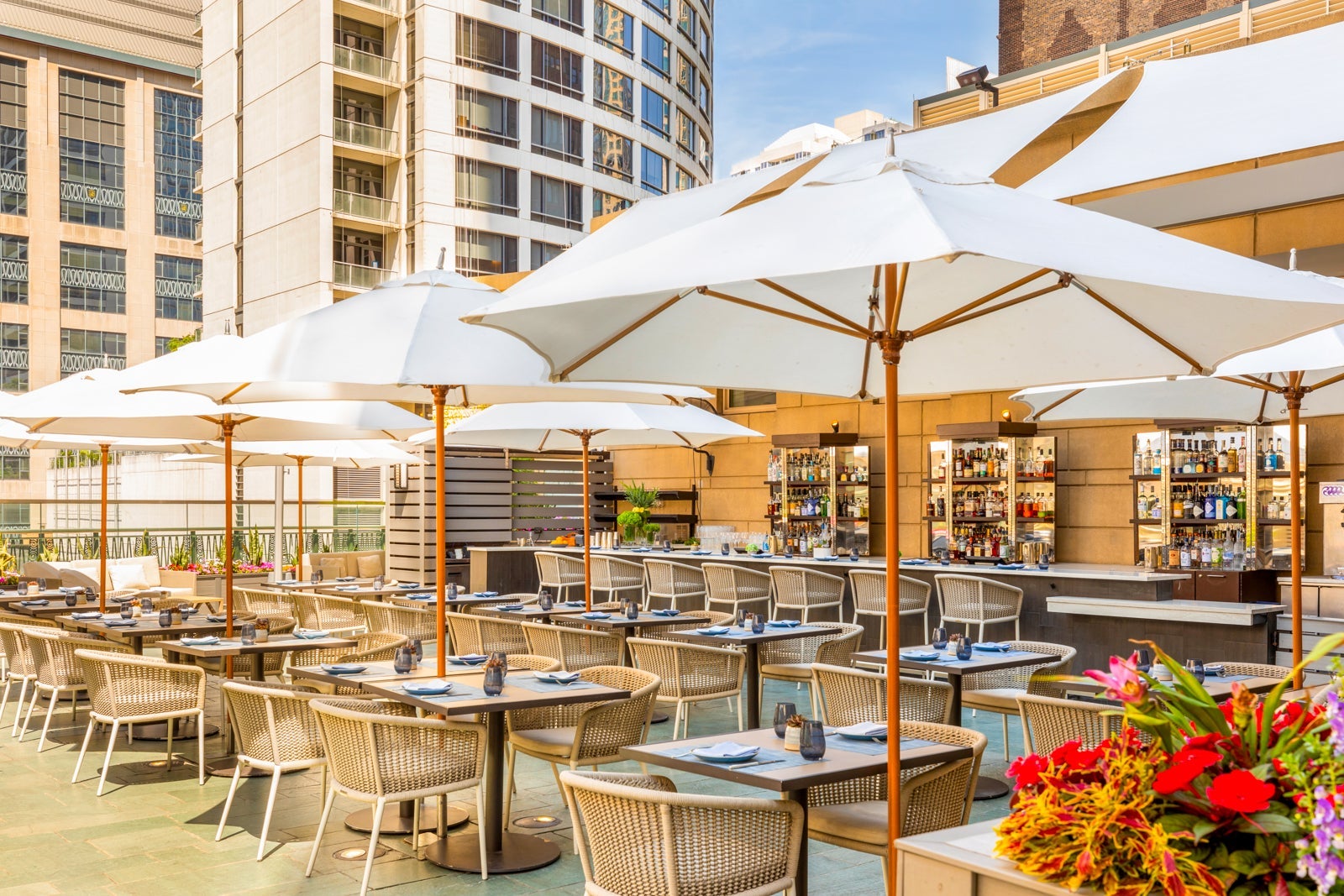 CHIPH_P0723 Nomi Terrace Night