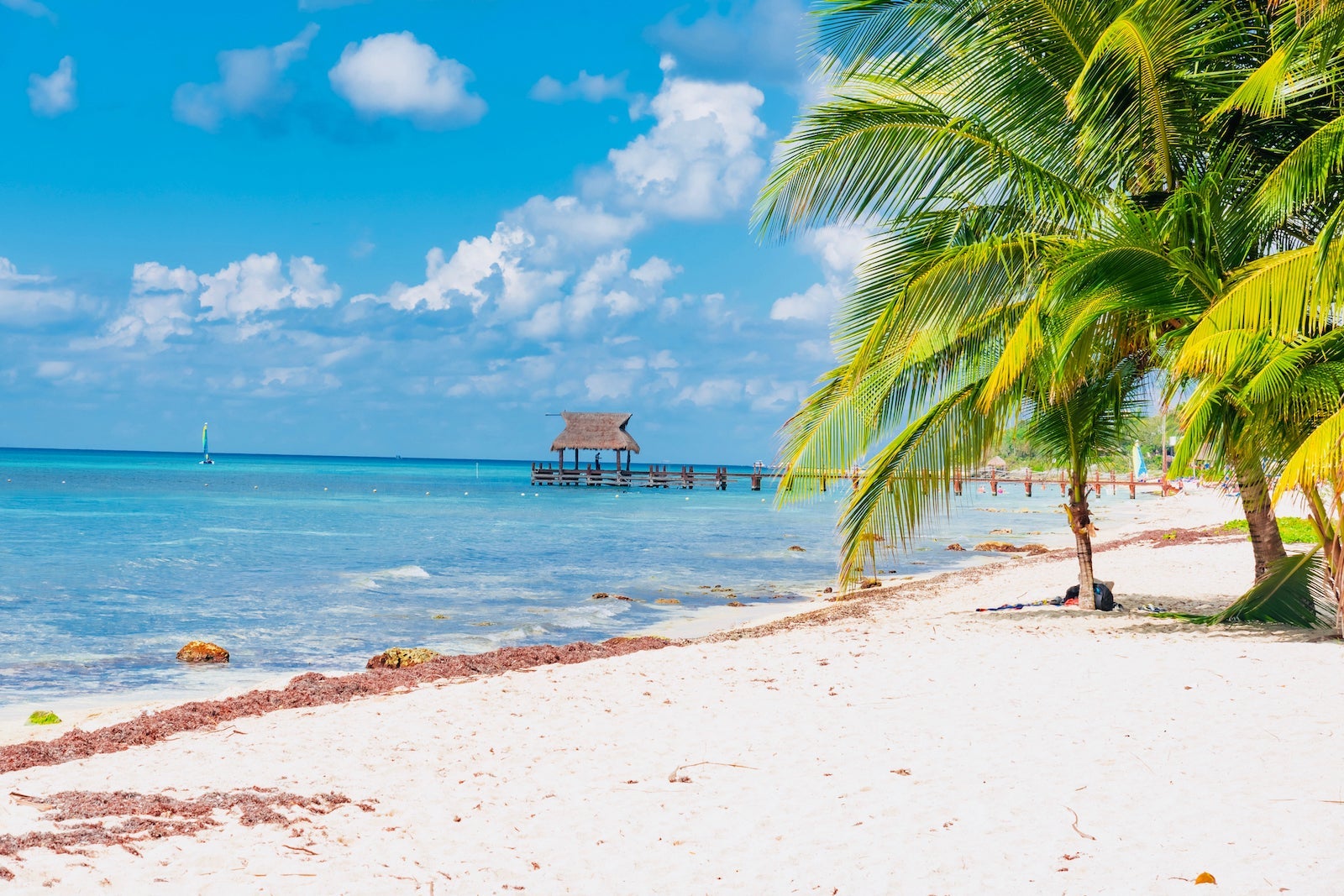 Palm Trees On Beach Against Sky
